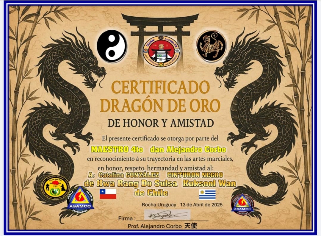 Certificado 7