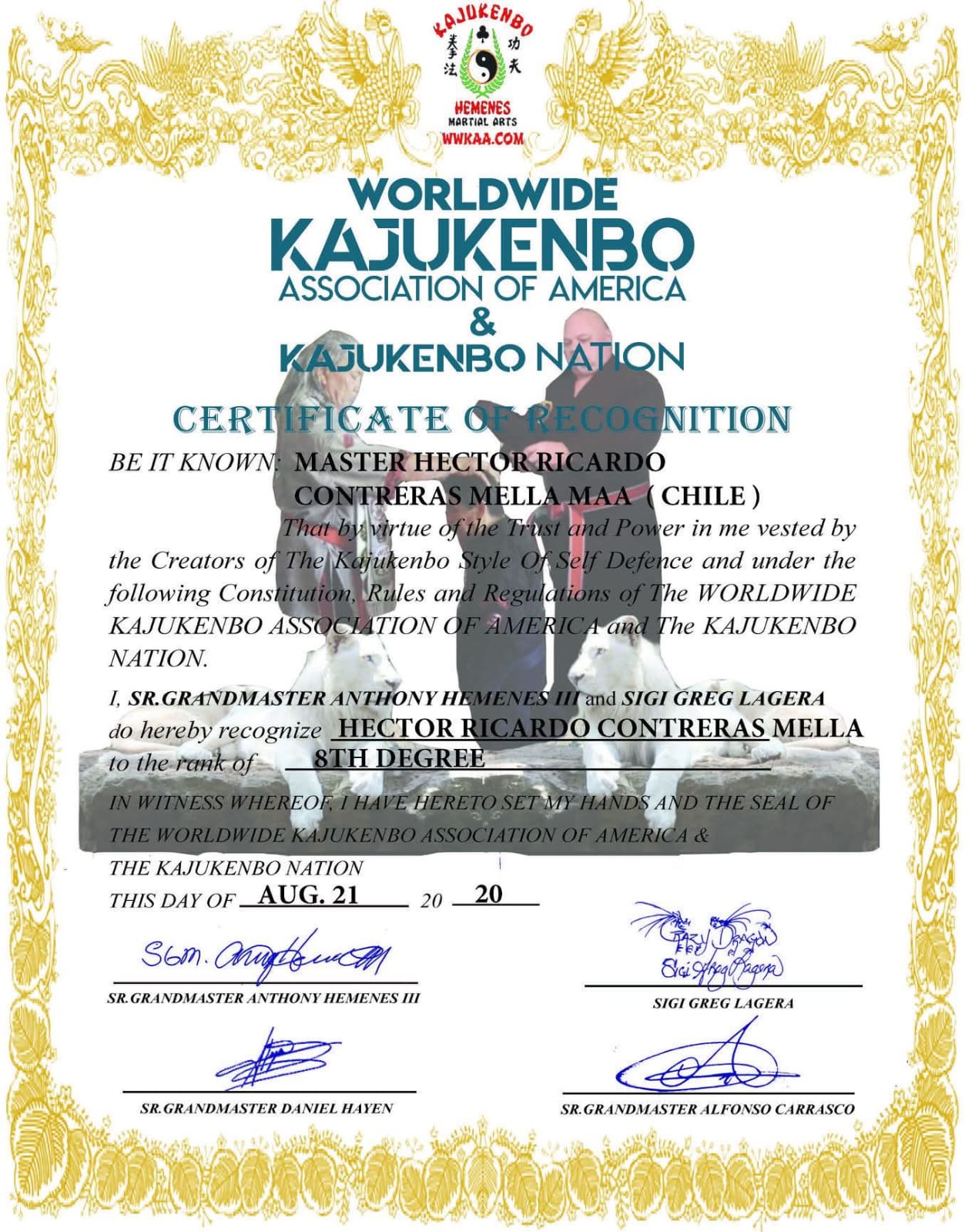 Certificado 13