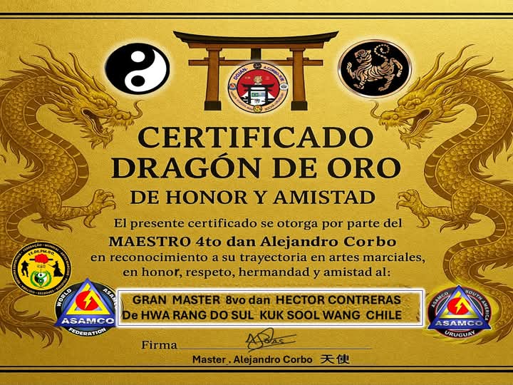 Certificado 18