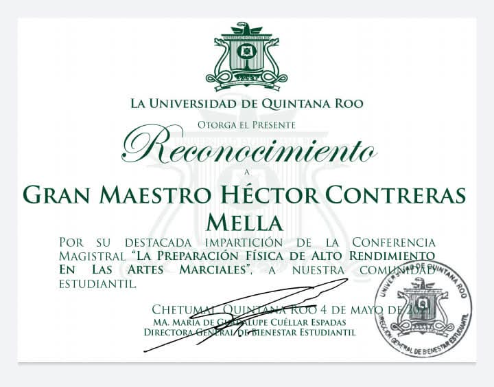 Certificado 19
