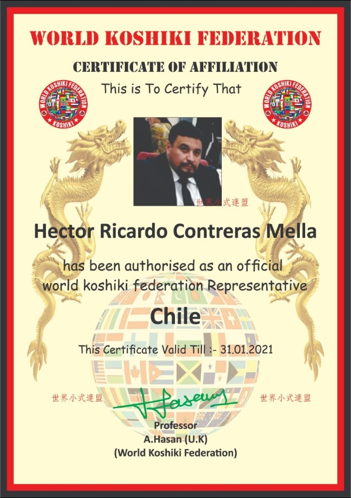 Certificado 20