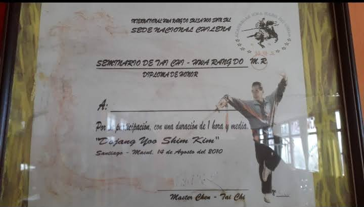 Certificado 28