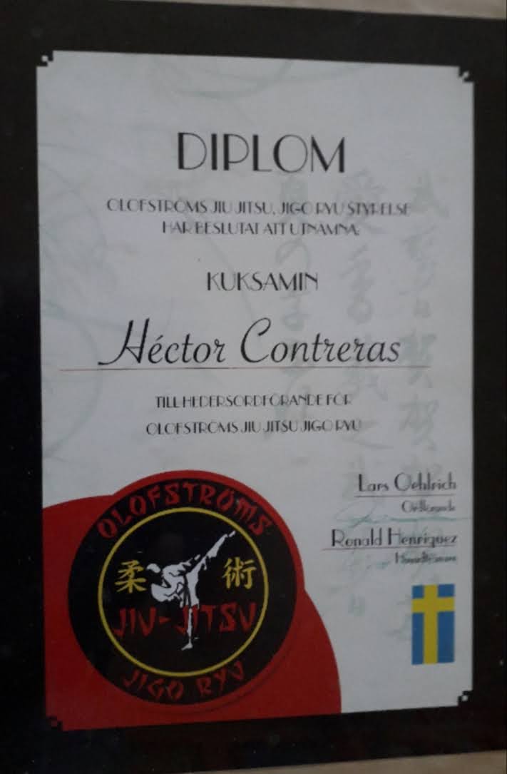 Certificado 31